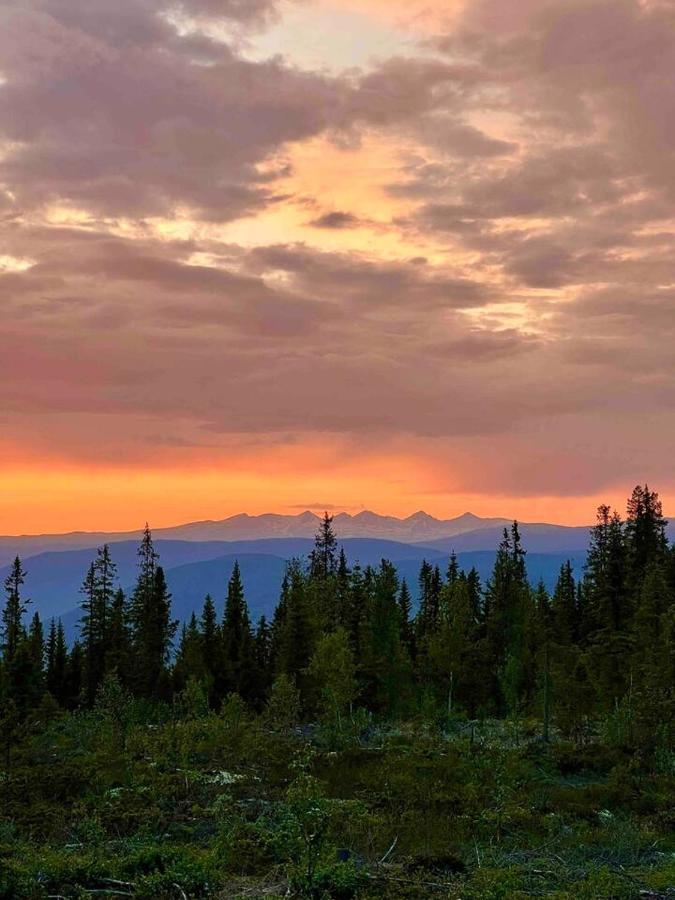 Arctic Dome Gudbrandsdalen *
